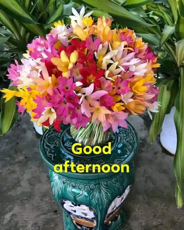 good afternoon flowers images 36